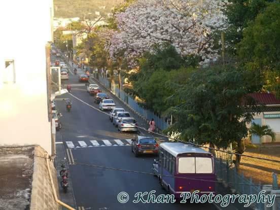 La Plaine Verte Guesthouse Port Louis Esterno foto